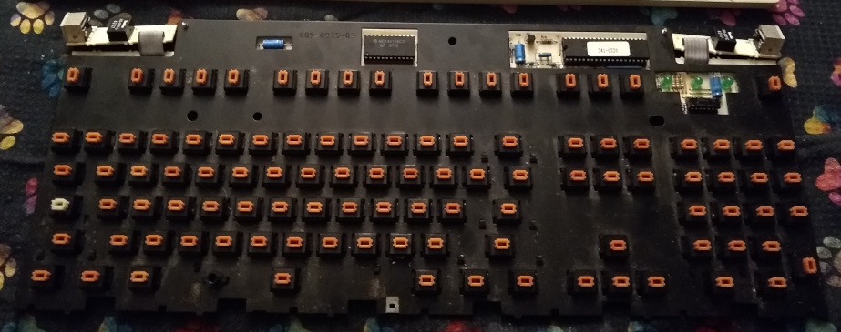 Exposed Apls Orange switches